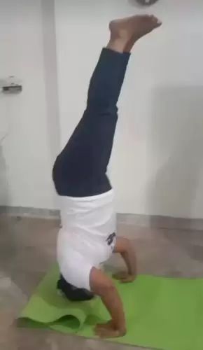 Saahasya Vidyabhaas Foundation